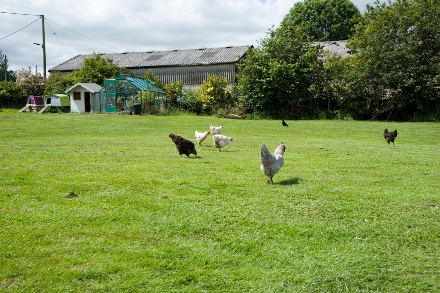 Padley Farm Bradfield Exterior foto