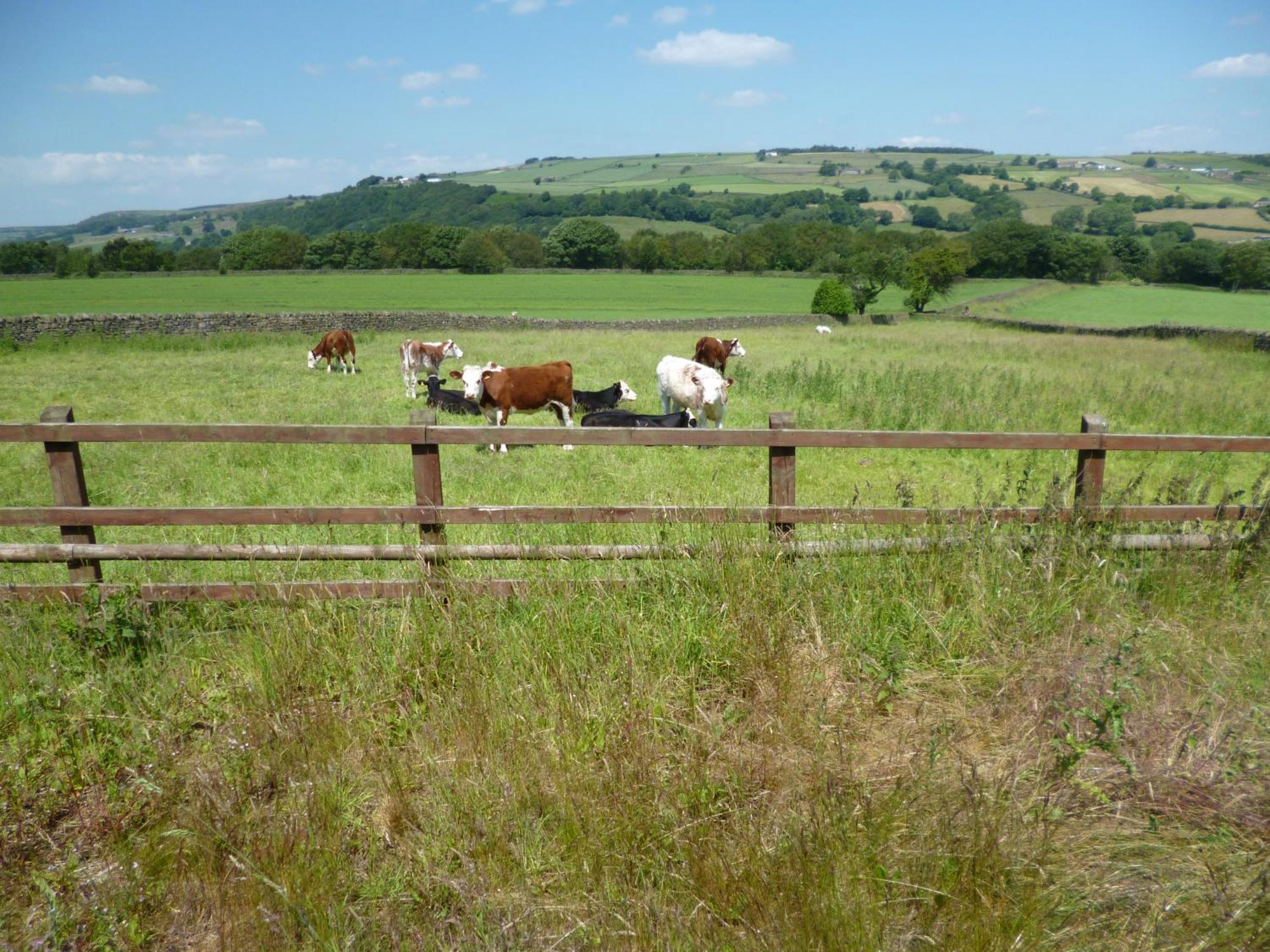 Padley Farm Bradfield Exterior foto